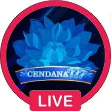 cendana777 APK: Fitur, Ukuran, dan Link Download dan big777: Rangkuman Brand yang Banyak Dicari